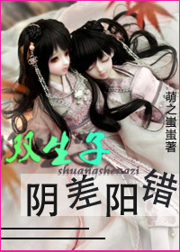 双生子阴差阳错TXT全集封面
