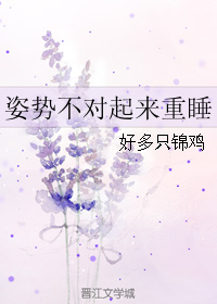 姿势不对起来重睡TXT全集封面