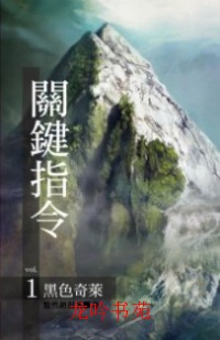 黑色奇莱+魔鬼领域+死亡公路+猛鬼大厦+沙漠风暴(关键指令系列-出书版)TXT全集封面