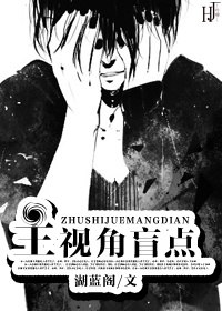 主视角盲点TXT全集封面