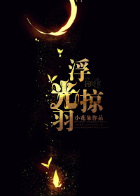 浮光掠羽TXT全集封面