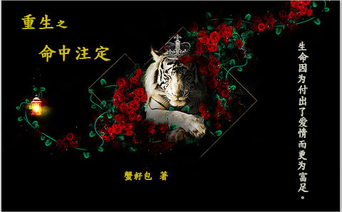 hp����֮����ע��