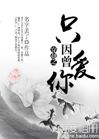 穿越之只因曾爱你TXT全集封面