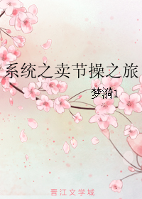 系统之卖节操之旅TXT全集封面