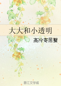 大大和小透明TXT全集封面