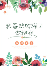 我喜欢的样子你都有TXT全集封面