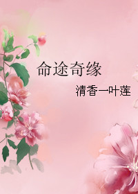 命途奇缘TXT全集封面