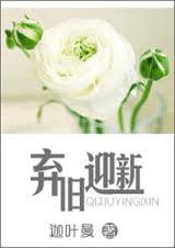 弃旧迎新TXT全集封面