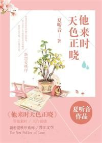 他来时天色正晓TXT全集封面