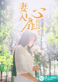 妻入心扉TXT全集封面