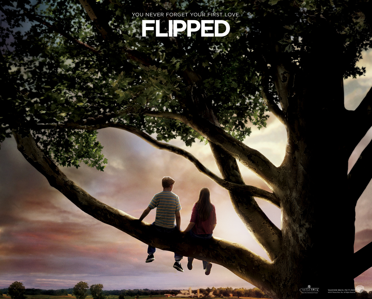 flipped(英文版)TXT全集封面
