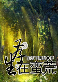 ����������TXTȫ������