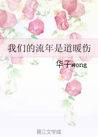 我们的流年是道暖伤TXT全集封面