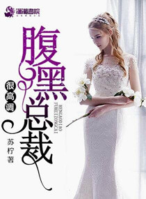 腹黑总裁很高调TXT全集封面