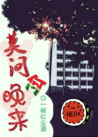 莫问何晚来TXT全集封面