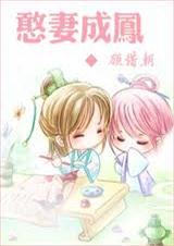 憨妻成凤TXT全集封面