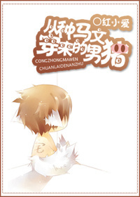 从种马文穿来的男猪TXT全集封面