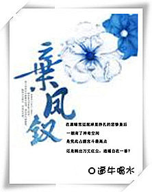 弃凤钗TXT全集封面