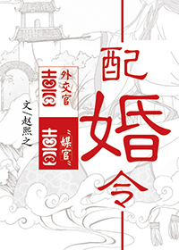 配婚令TXT全集封面