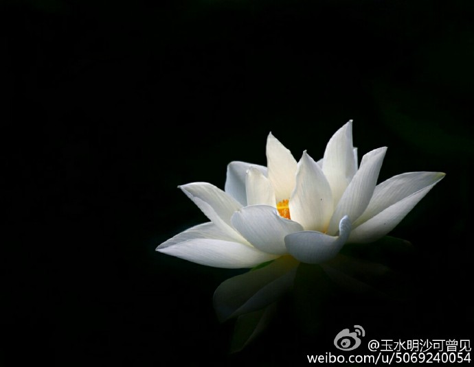 ���ҳɷ�TXTȫ������