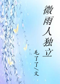 独立微雨中TXT全集封面