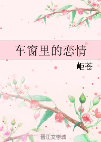 车窗里的恋情TXT全集封面