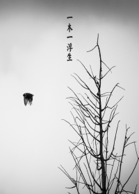 ����ǧ��ϵ��֮�黨