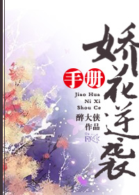 娇花逆袭手册TXT全集封面