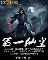 ��һ�ɻ�TXTȫ������