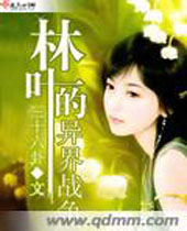 ��Ҷ�����ս��TXTȫ������