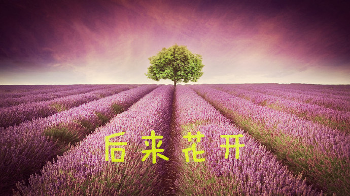 ��������TXTȫ������