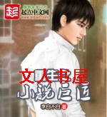 ����֮С˵�޽�