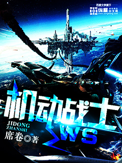 ����սʿWSTXTȫ������