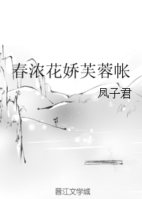 ��Ũ����ܽ����TXTȫ������