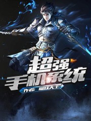 ��ǿ�ֻ�ϵͳ