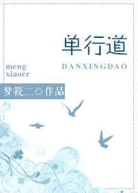 单行道,逆行爱TXT全集封面