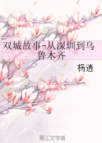 双城故事-从深圳到乌鲁木齐TXT全集封面