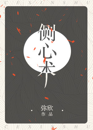 侧心术TXT全集封面