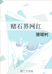 ��ʯ������TXTȫ������