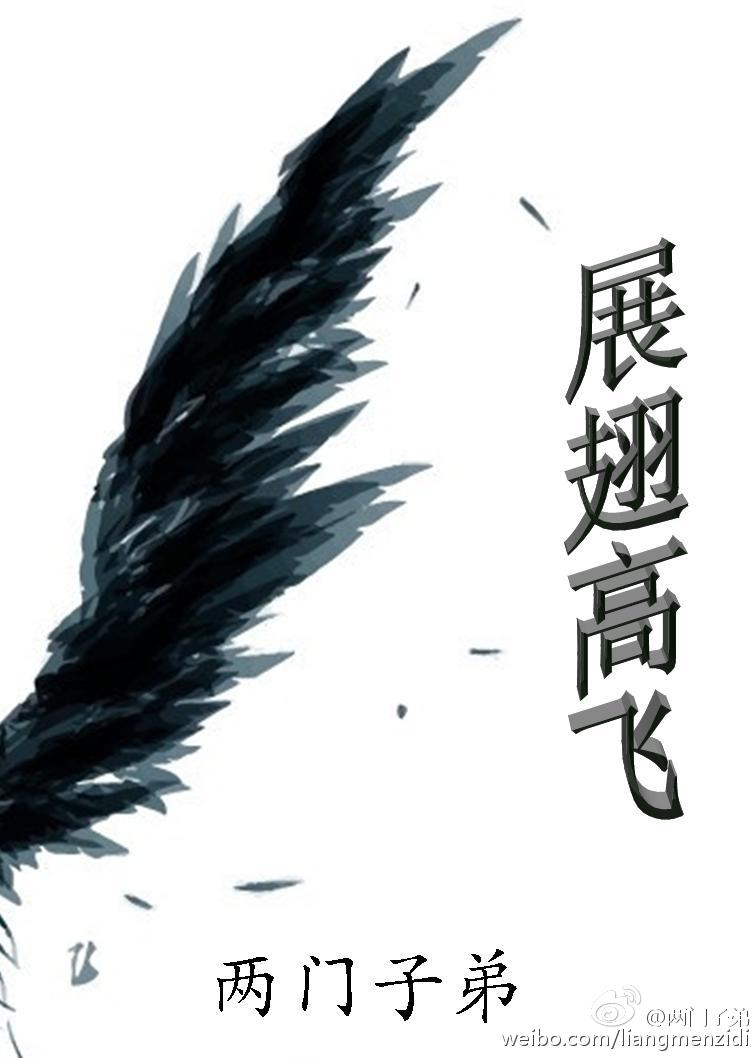 展翅高飞TXT全集封面