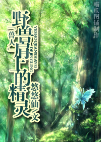 野兽肩上的精灵TXT全集封面