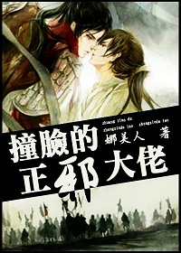 撞脸的正邪大佬TXT全集封面