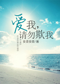 爱我,请勿欺我TXT全集封面