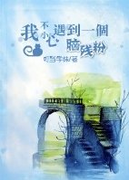 我不小心遇到一个脑残粉TXT全集封面