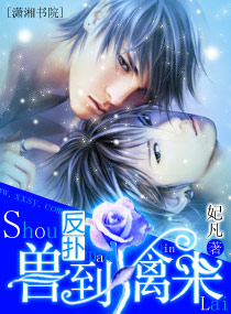 ����--�޵�����