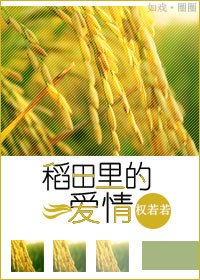 稻田里的爱情TXT全集封面