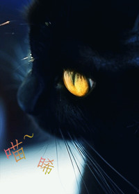 柜子里的吸血鬼TXT全集封面