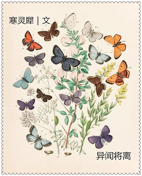 异闻将离TXT全集封面