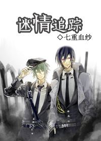 迷情追踪TXT全集封面