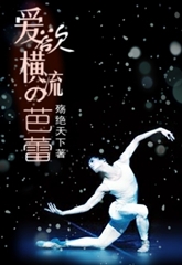 ���������İ���